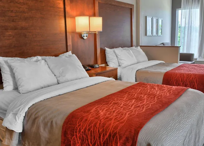 Comfort Inn Ruther Glen Near Kings Dominion