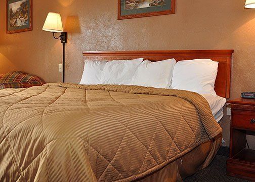 Comfort Near Kings Dominion Inn Ruther Glen